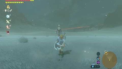 White Lynel vs Ancient Arrow / 1 Shot Kill
