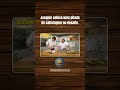 Uma pitada de sabotagem #cozinha #culinária #shorts
