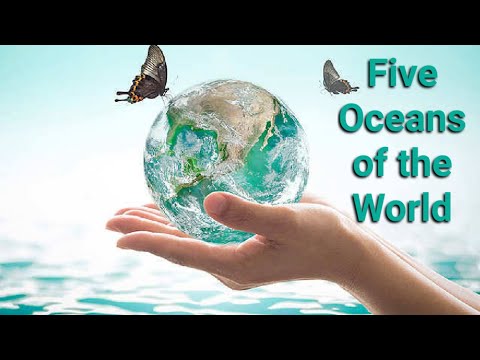 Video 5 Oceans Of The World