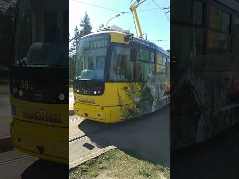 Tramvaje Plzeň Vario