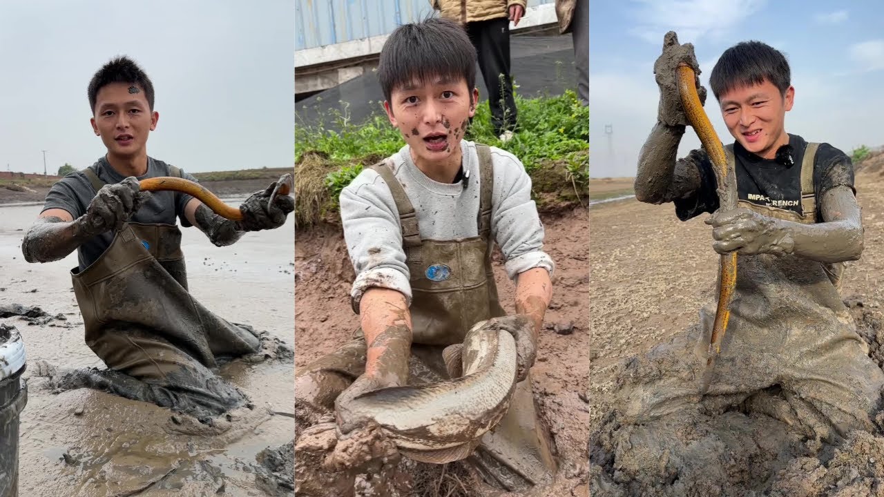 水猴子花2200元下乡包塘抓鱼，附近的乡亲们闻讯纷纷赶来买鱼！#户外抓鱼 #户外捕鱼 #水猴子 #乡村生活 #农村生活