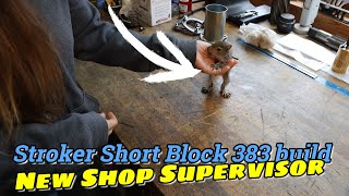 Stroked Short Block 383 Day!  Shop under new management! @SteveSummers