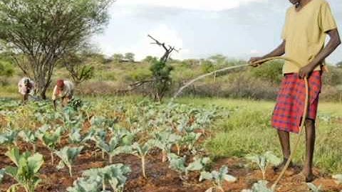 Food Security:Story of Resilience in Kadokoi