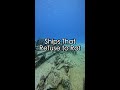 Ships That Refuse to Rot