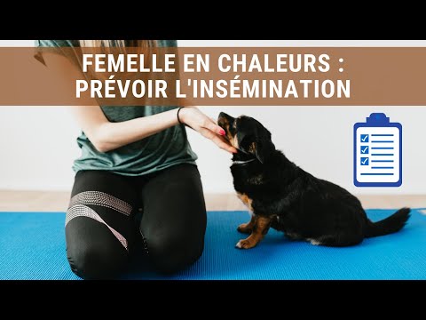 Vidéo: Quand Un Chiot Doit-il être Rendu à L'éleveur