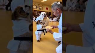 Mira Como Aprende La Técnica...