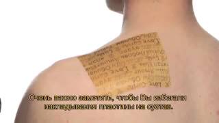 Powerstrips Forevergreen