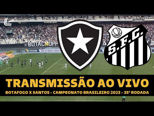 Botafogo x Santos: onde assistir ao vivo e horário