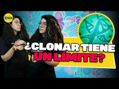 Can we clone an animal forever? The experiment of 58 mouse clonings