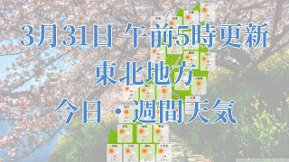 2023年03月31日(金) 全国・東北地方 今日・週間天気予報 (午前5時動画更新 気象庁発表データ)07 TOUHOKU 2023033105
