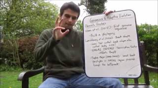 Genomics & Adaptive Evolution - Benito's Explanations