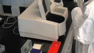 Topic 2.5 Preparation, Purification, And Quantitation Of Dna Rna