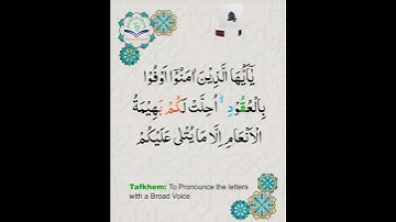 Learn Tajweed of Surah al-maidah Ayat 1 | تعلم التجويد - سورة المائدة | Tajweed Rules + Practice