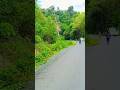 33kv line clearance going on ⚡⚡/#technical /#electrical /#lineman /#shortvideo/@MTLineman22