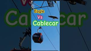 Eagle above the cablecar
