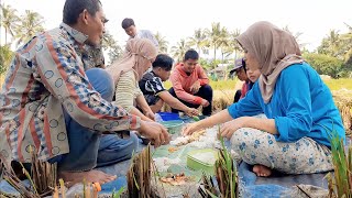 Panen Padi di Kampung,Gadis desa masak di sawah,makan bersama petani