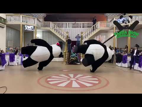 Panda Show Azerbaijan. Möhtəşə yeni il şənliyi!!!