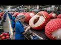 How Lychee Juice Is Made in Factory | $Million Exotic Fruit Processing
