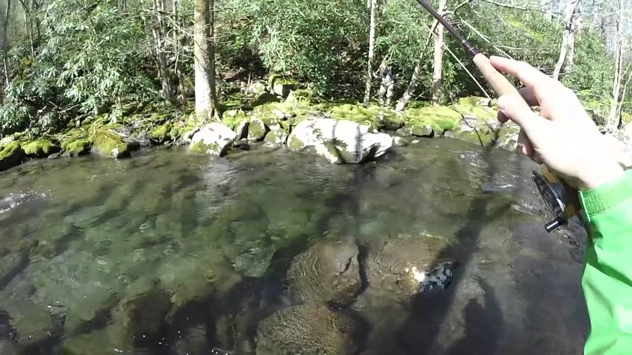 Fly fishing in the Great Smoky Mountains YouTube