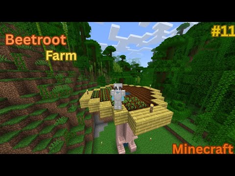 Solo survival series | minecraft | beetroot farm - YouTube