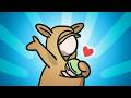 Kangaroo Care and GiveWell Insights