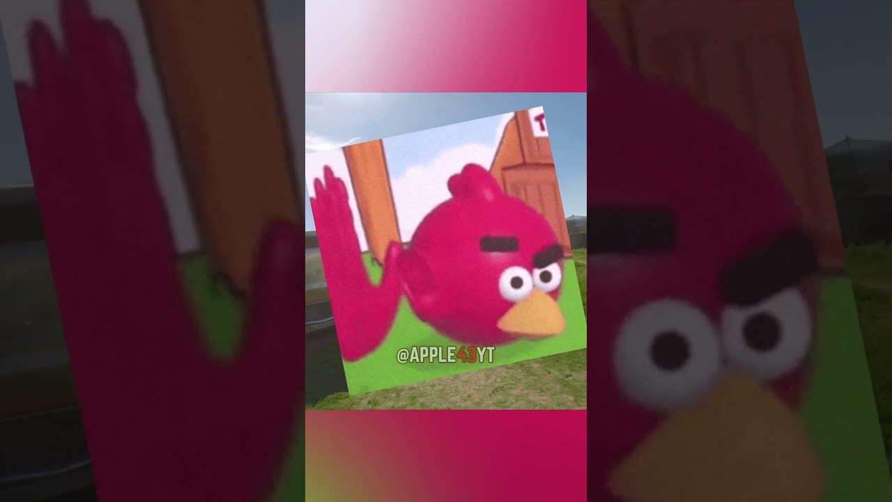 apple and chase sharing a few brain cells