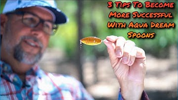 3 Ways To Have More Success With Aqua Dream Spoons