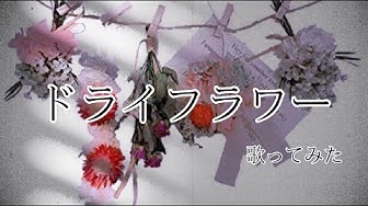 こばやしはるか Youtube