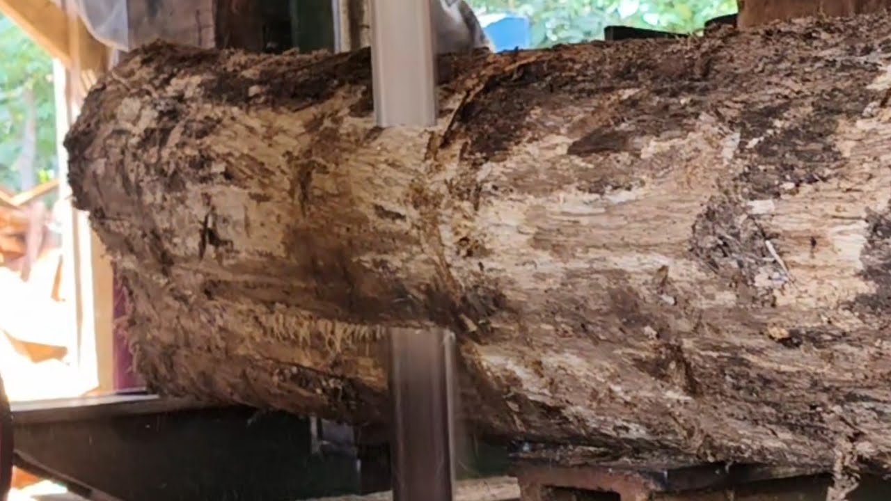 The process of sawing beautiful teak wood into blocks for house ...