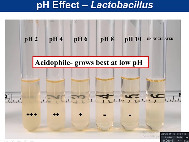 tsi testi mikrobiyoloji