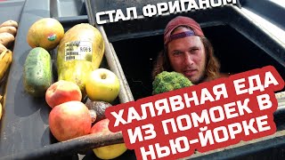 На самом дне в Нью-Йорке по помойкам в поисках еды