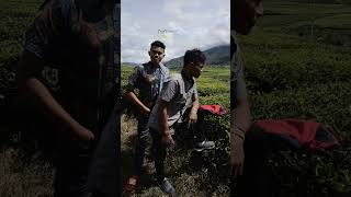 Download Lagu *,,Kayo lupo jso,,* MP3