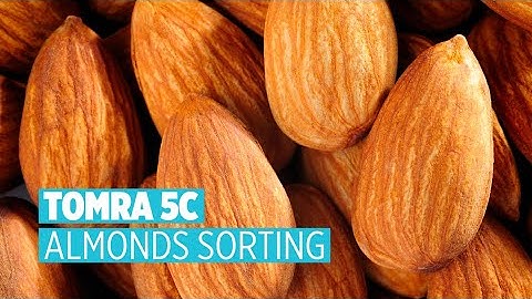 TOMRA 5C Almond Sorting
