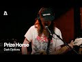 Prize Horse - Dark Options | Audiotree Live