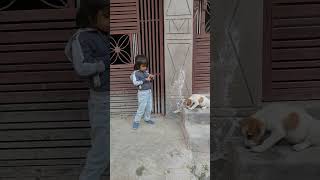 Puppy Ko Biscuit Khilaya