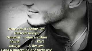 Salar Can Hestê Şevê