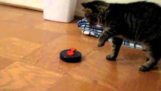 Pasha and Dweezil 2: Pasha vs Timer