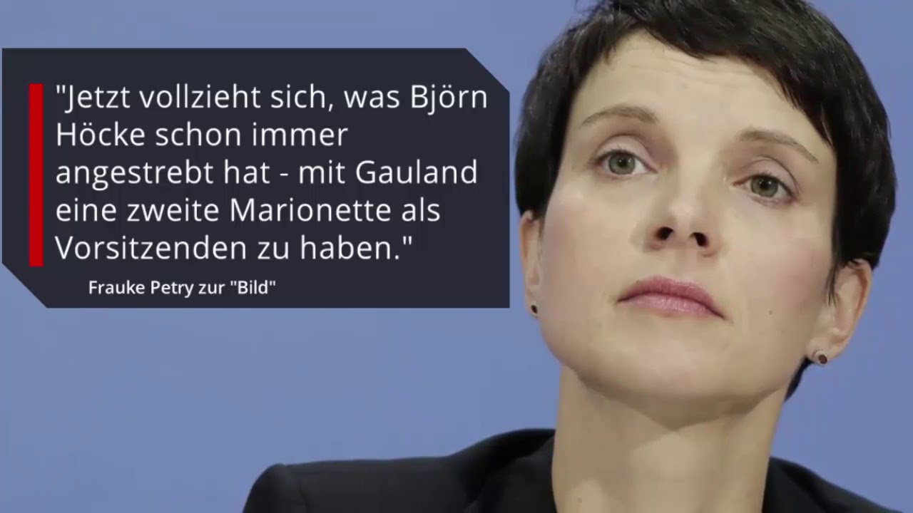 Frauke Petry verrät: Der wahre Puppenspieler sitzt nicht in der Parteispitze