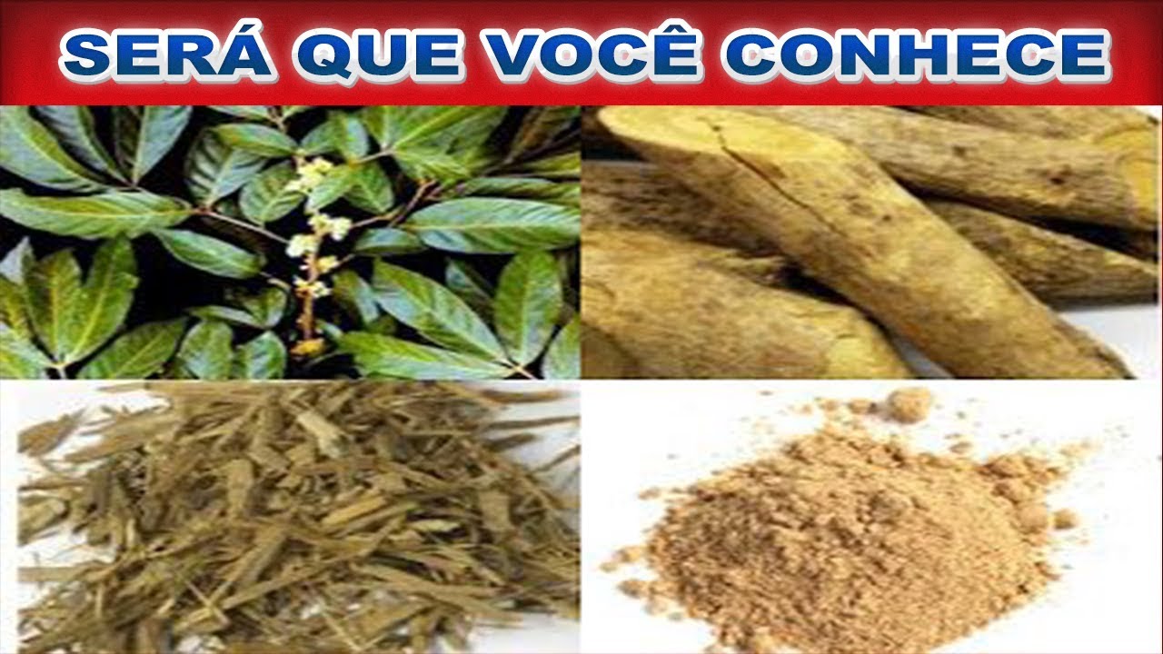 Como Evitar Ejacula o Precoce Com O Cha De Marapuama Iphhone 24 24h