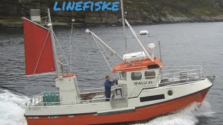 Linefikse