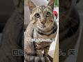 末っ子兄弟からも気に掛けられるトラ福（細マッチョ）