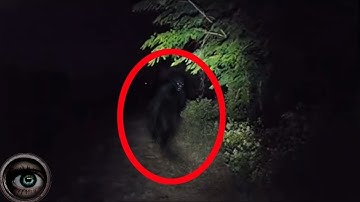 Top 10 Horror Videos That Won’t Let You Sleep