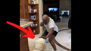 Mike Tyson Shadow Boxing THE DOG!