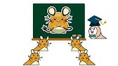 ポケットモンスター だーれだ ２ Youtube