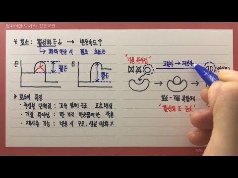 효소의 특징과 활성화 에너지