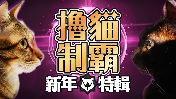 【走路痛】撸.猫.制.霸！终于！姗姗来迟了！ - 天天要闻