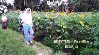 Download Lagu Badai bulan desember MP3