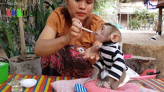 Cute Baby Monkey Koko Obeys Mom To Take A Medicine | Koko Easy To Taking Medicine