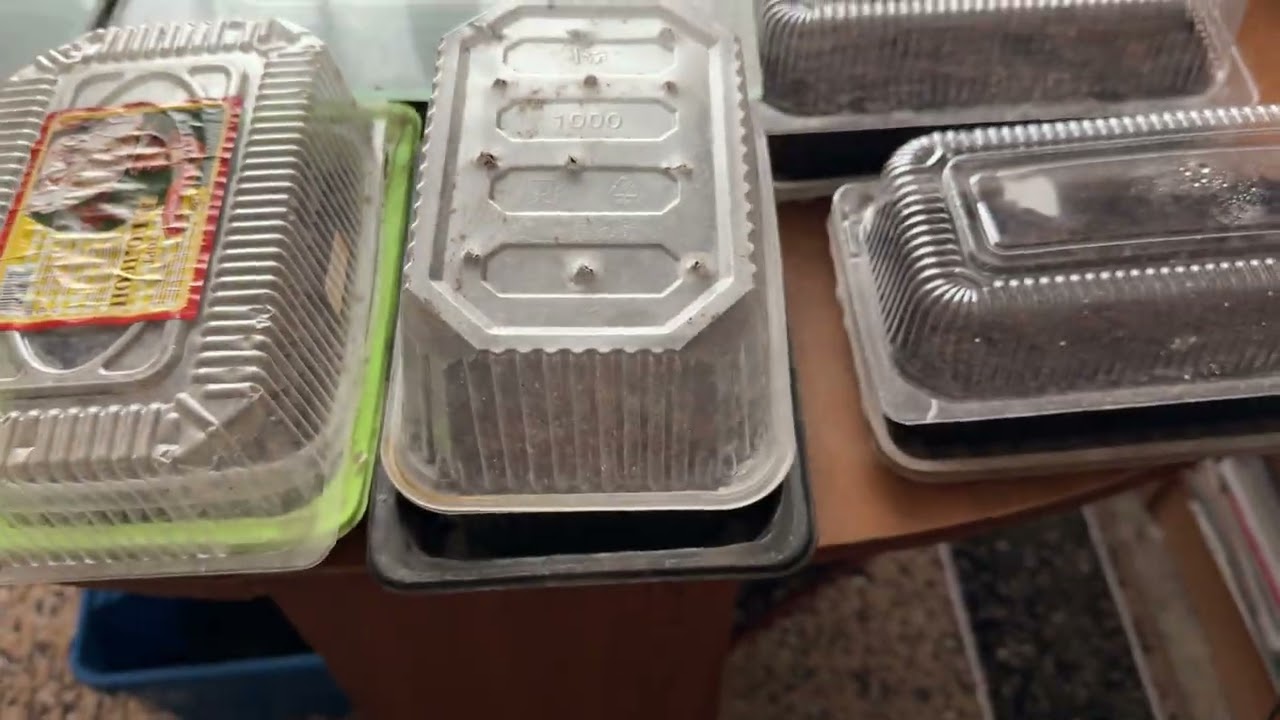 Посев семян Табака 