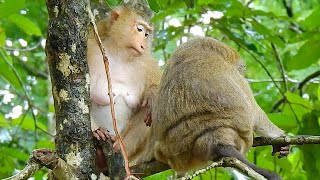 Pity Rose To Lost Her Pregnant To Ask Anyone Who Know Her Baby Pregnant? And She Says To Apologize